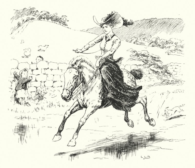 Tenía un pequeño pony, su nombre era Dapple-grey de Leonard Leslie Brooke