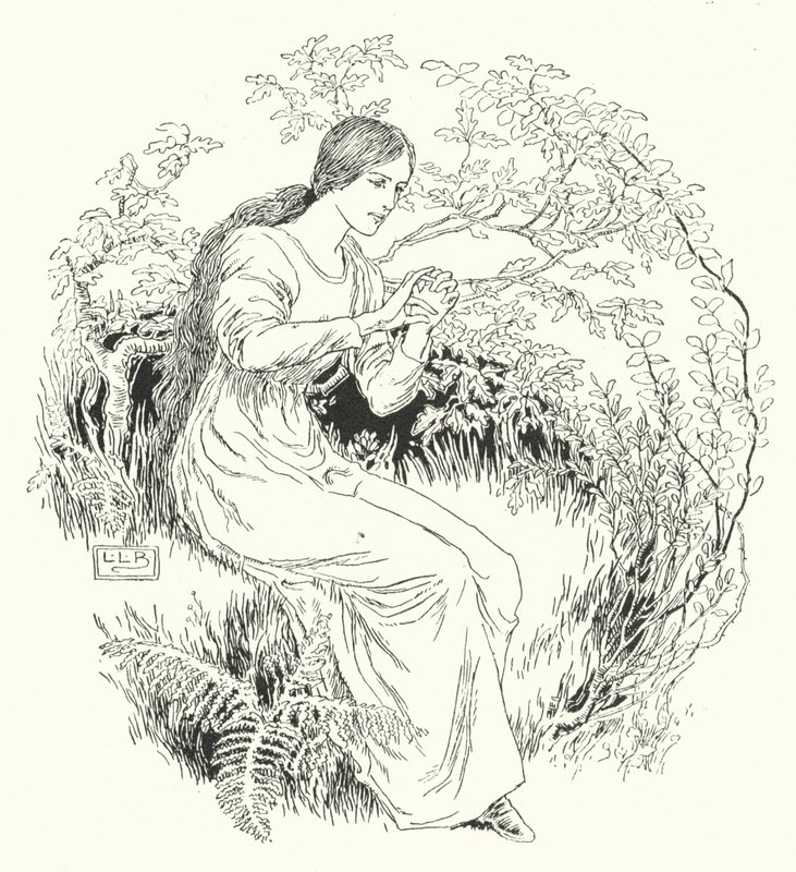 Fui al bosque y lo conseguí de Leonard Leslie Brooke