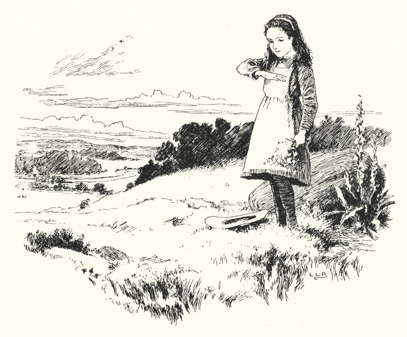 Mariquita, mariquita, vuela a casa de Leonard Leslie Brooke