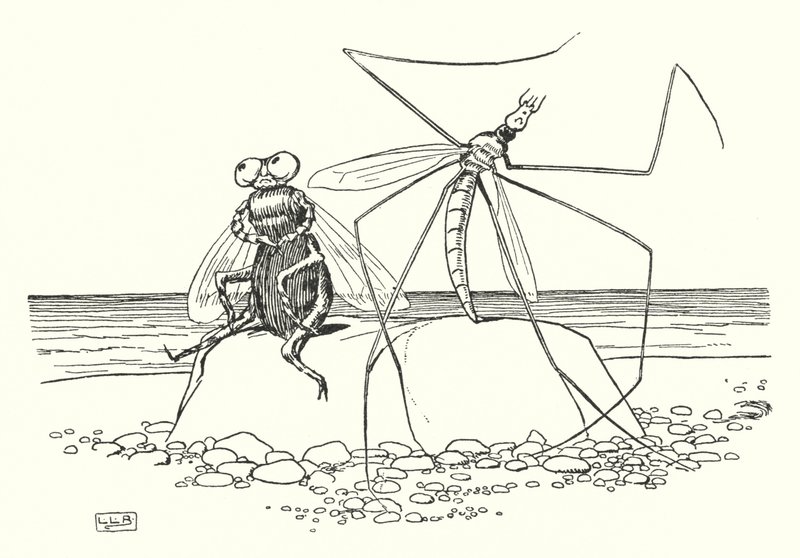 El papá patas largas y la mosca (litografía) de Leonard Leslie Brooke