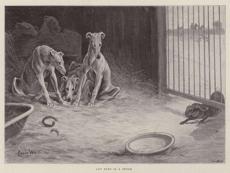 Cualquier puerto en una tormenta de Louis Wain