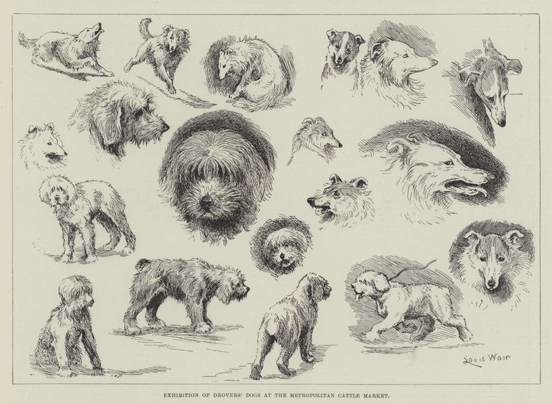 Exposición de perros pastores en el Mercado de Ganado Metropolitano de Louis Wain