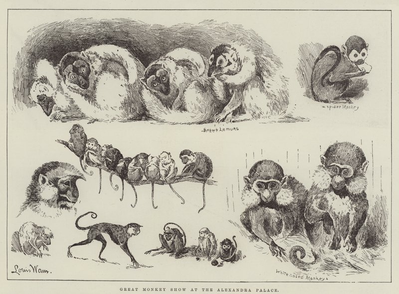 Gran Espectáculo de Monos en el Alexandra Palace de Louis Wain
