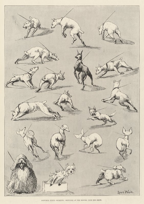 Momentos Caprichosos de la Naturaleza, Bocetos en la Exposición Canina del Kennel Club de Louis Wain