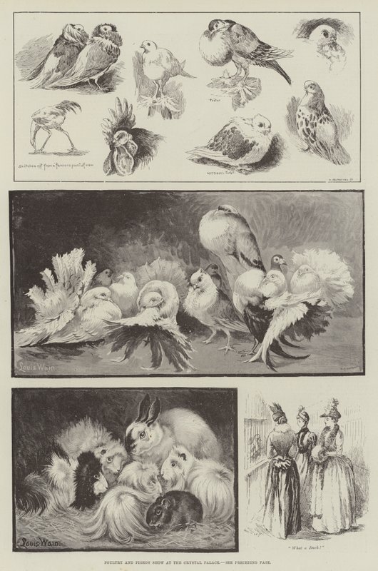Exposición de Aves de Corral y Palomas en el Crystal Palace de Louis Wain