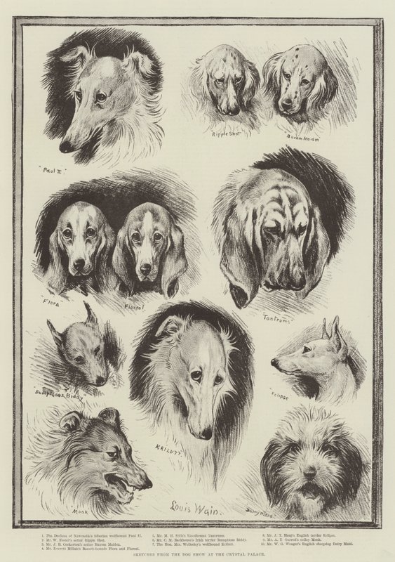 Bocetos del espectáculo canino en el Crystal Palace de Louis Wain