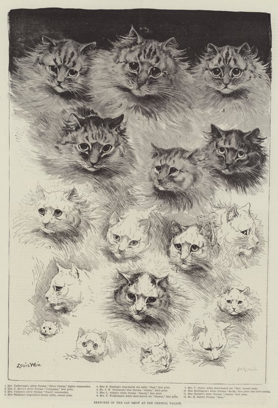 Bocetos de la Exposición de Gatos en el Crystal Palace de Louis Wain