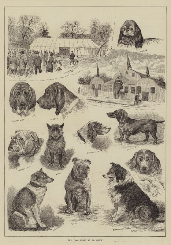 La exposición canina en Warwick de Louis Wain
