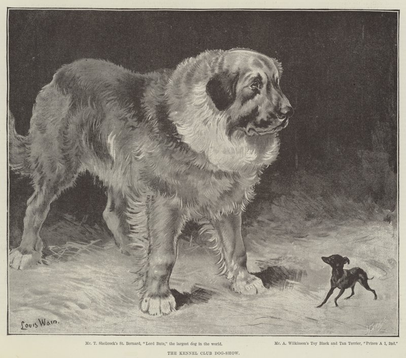 La exposición canina del Kennel Club de Louis Wain