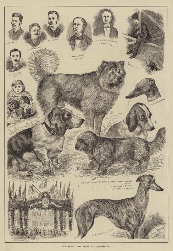 La exposición canina real en Dorchester de Louis Wain
