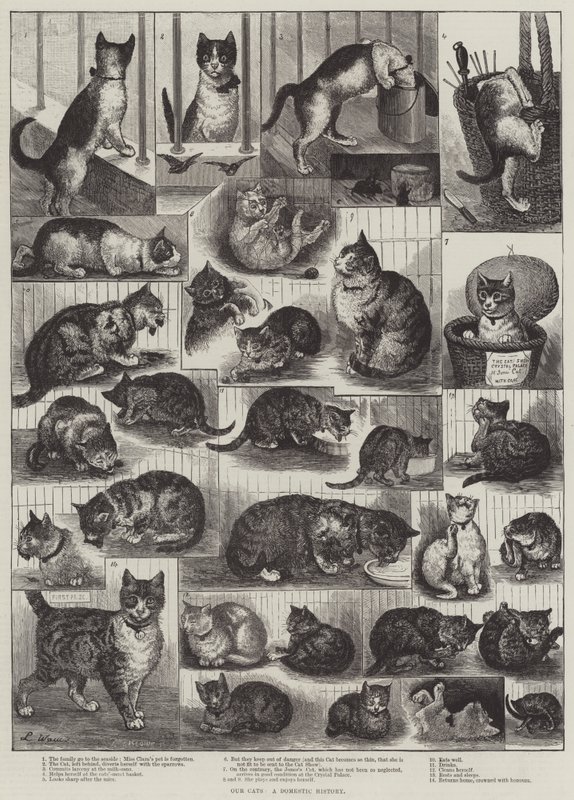 Nuestros gatos, una historia doméstica de Louis Wain