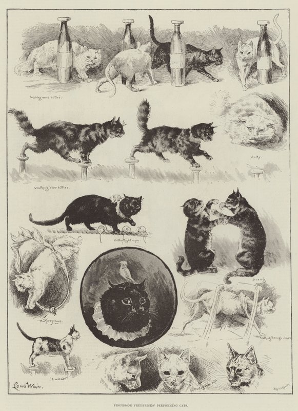 Los gatos actuantes del profesor Fredericks de Louis Wain