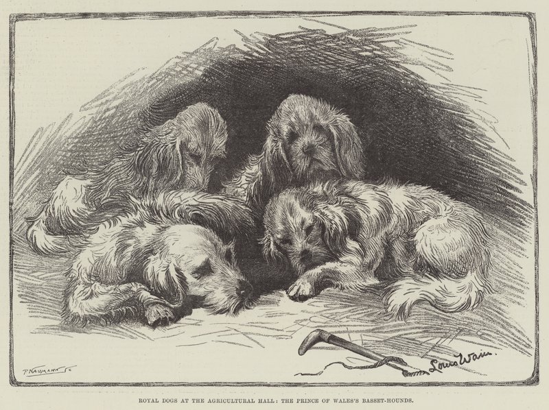 Perros reales en el Agricultural Hall, los Basset-Hounds del Príncipe de Gales de Louis Wain