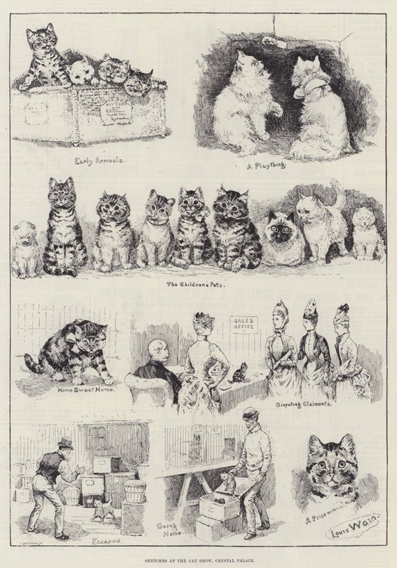 Bocetos en la exposición de gatos, Palacio de Cristal de Louis Wain