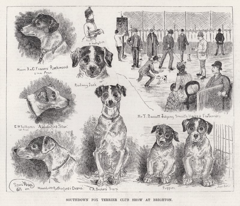 Exposición del Club de Fox Terrier de Southdown en Brighton de Louis Wain