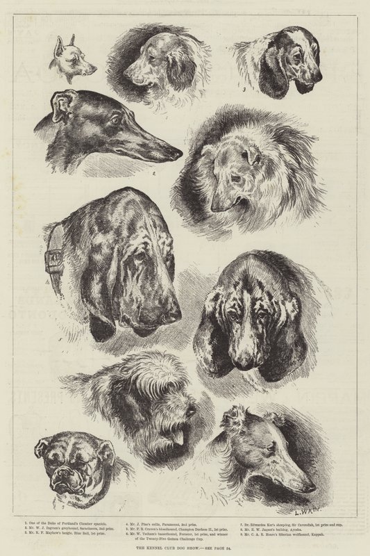 Exposición canina del Kennel Club de Louis Wain