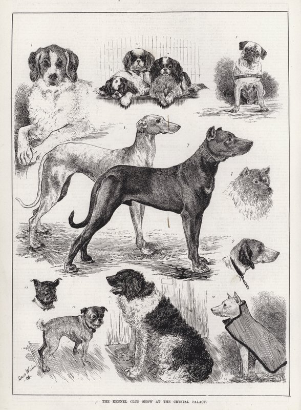 Exposición del Kennel Club en el Crystal Palace de Louis Wain