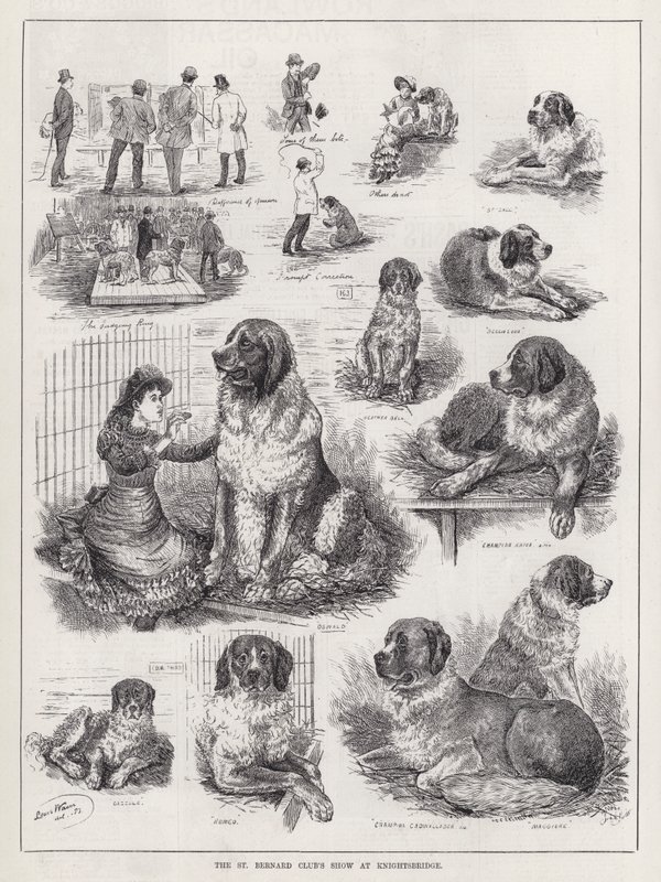 Exposición del Club de San Bernardo en Knightsbridge de Louis Wain