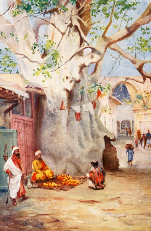 Gran Plátano en el Bazar, Damasco (litografía en color) de Margaret Thomas