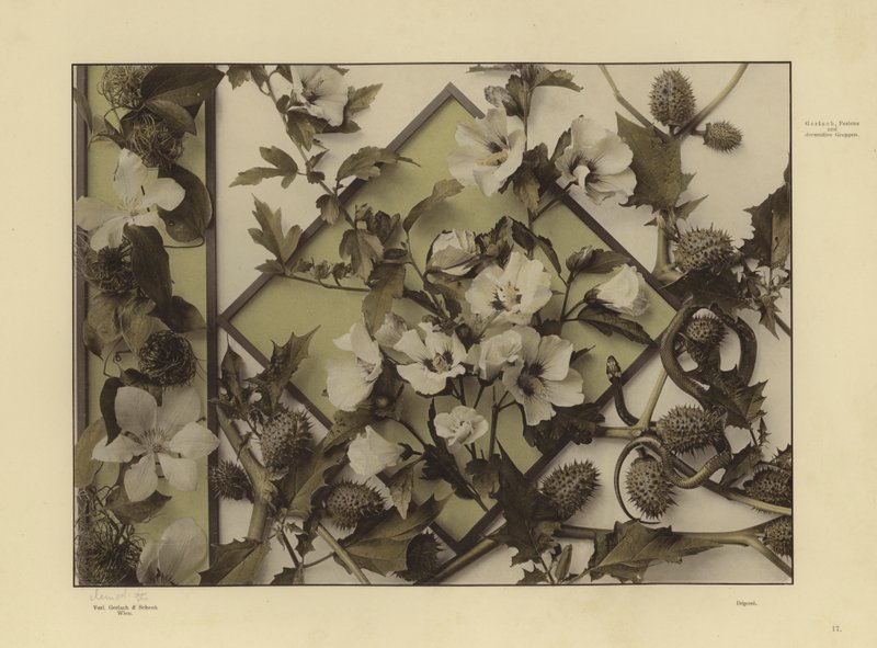 Uno de los festones y grupos decorativos de Martin Gerlach (foto en blanco y negro) de Martin senior Gerlach