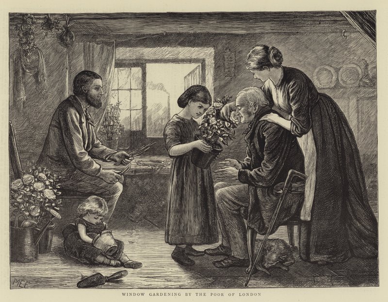 Jardinería en Ventanas por los Pobres de Londres de Mary Ellen Edwards