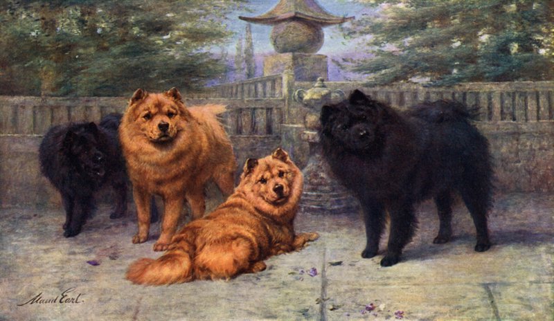 Cuatro Chow-Chows Campeones de la Sra. Scaramanga de Maud Earl