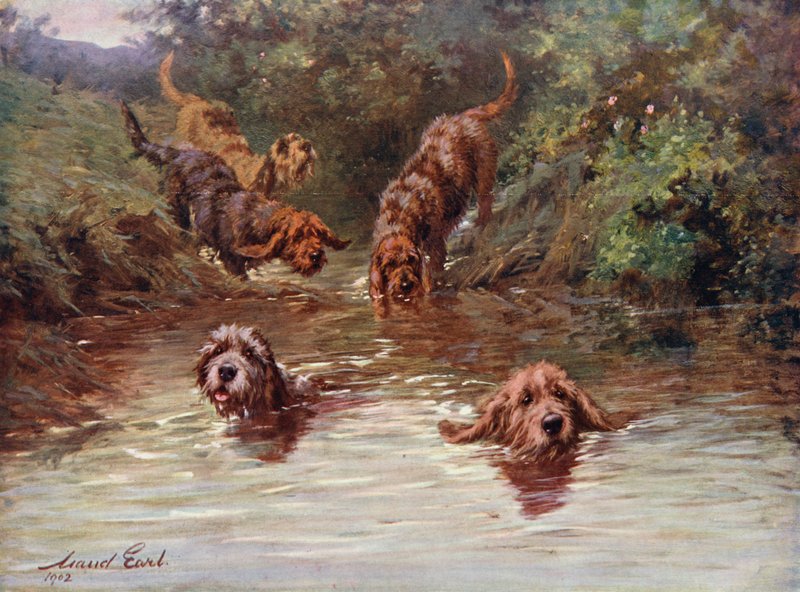 Entrando al agua de Maud Earl