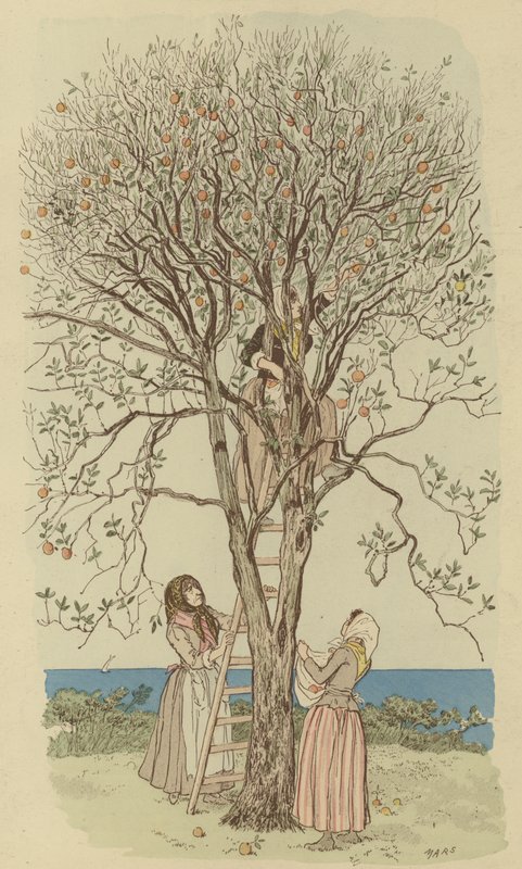 Recogiendo naranjas en el Mediterráneo de Maurice Charles Mathieu Bonvoisin