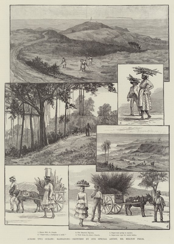 A través de dos océanos, Barbados de Melton Prior
