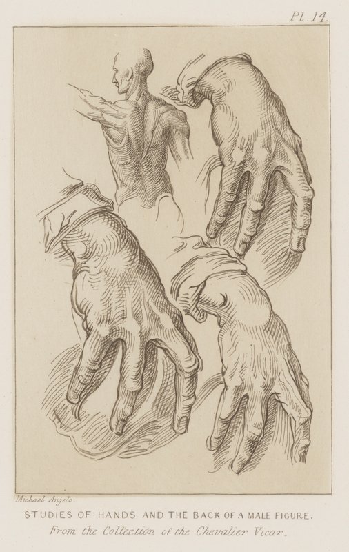 Estudios de manos y la espalda de una figura masculina de Michelangelo (after) Buonarroti