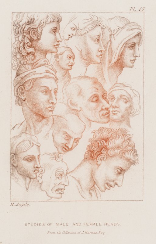 Estudios de cabezas masculinas y femeninas (aguafuerte) de Michelangelo (after) Buonarroti