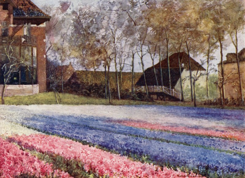 Un jardín holandés en primavera de Mima Nixon