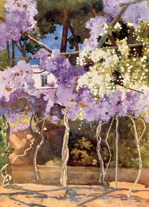 La pérgola de glicinas, El Palacio Real, Atenas de Mima Nixon