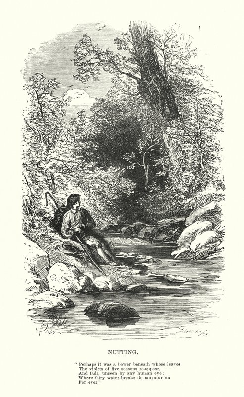 William Wordsworth: Nutting de Myles Birket (after) Foster