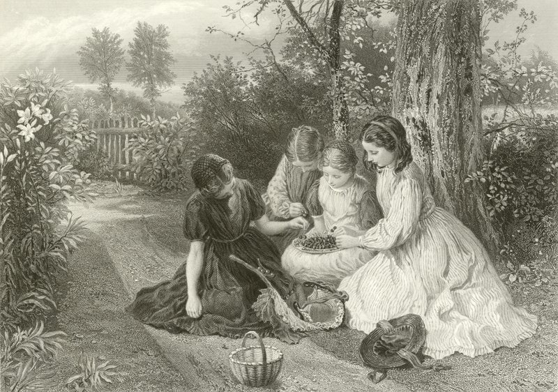 Un festín de cerezas de Myles Birket Foster