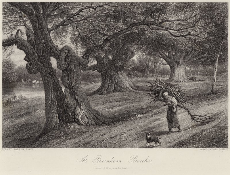 En Burnham Beeches de Myles Birket Foster