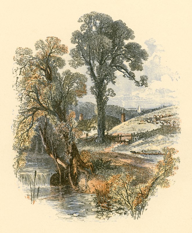 Bellezas de la naturaleza de Myles Birket Foster