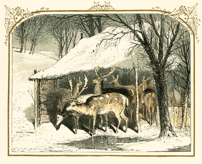 Ciervos en la nieve de Myles Birket Foster