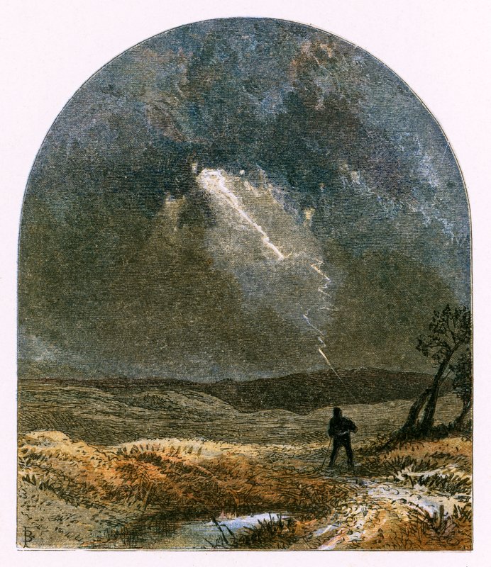 Ilustración para 