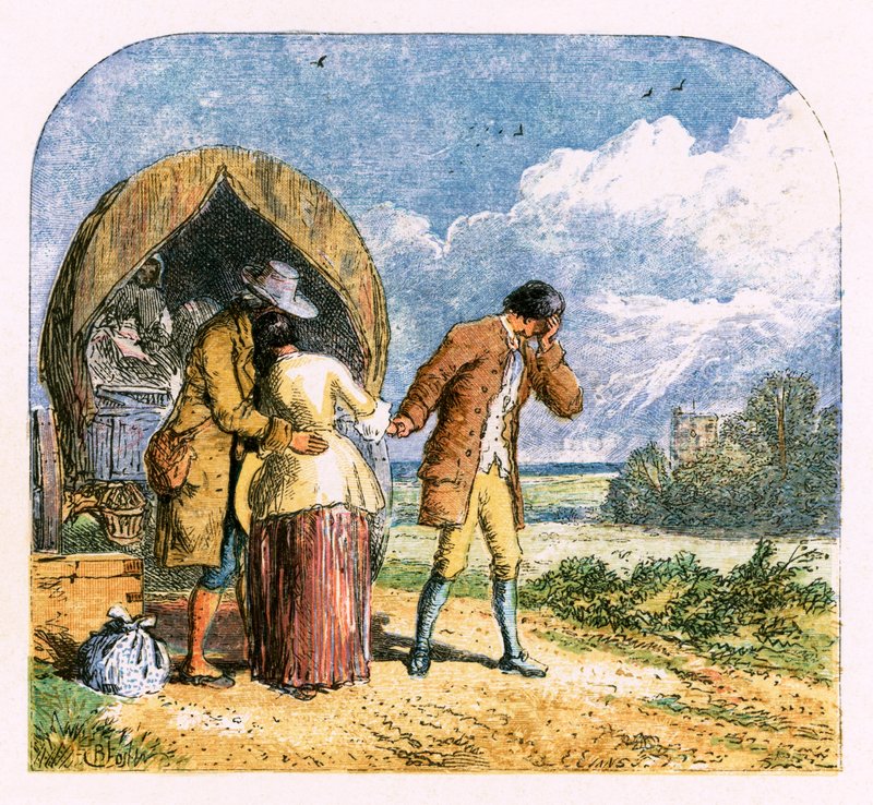 Ilustración para 