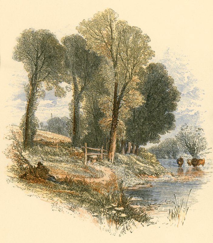 Paseos dominicales de Myles Birket Foster