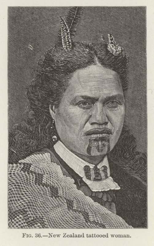 Mujer tatuada de Nueva Zelanda de New Zealand School