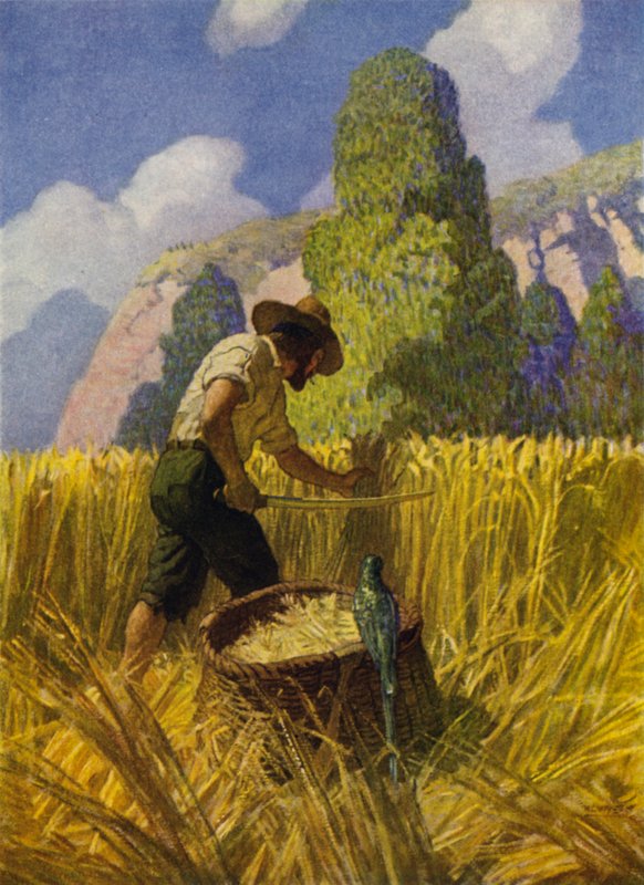Ilustración de Robinson Crusoe de Newell Convers (after) Wyeth
