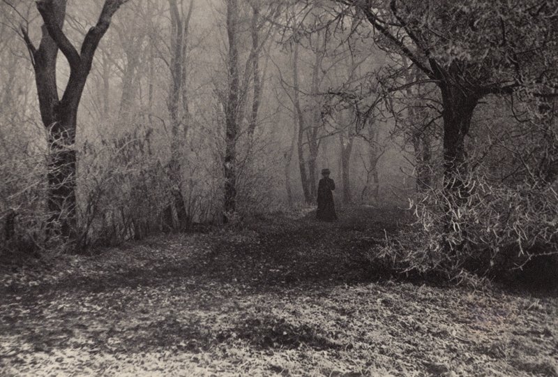 En el bosque de Viena (foto b/n) de Nichol Elliot