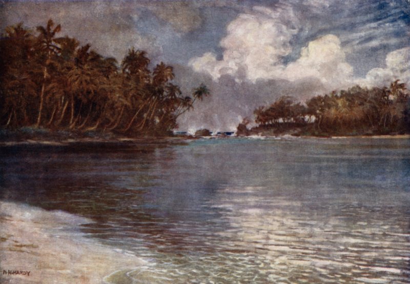 Por arrecife y palma de Norman Hardy