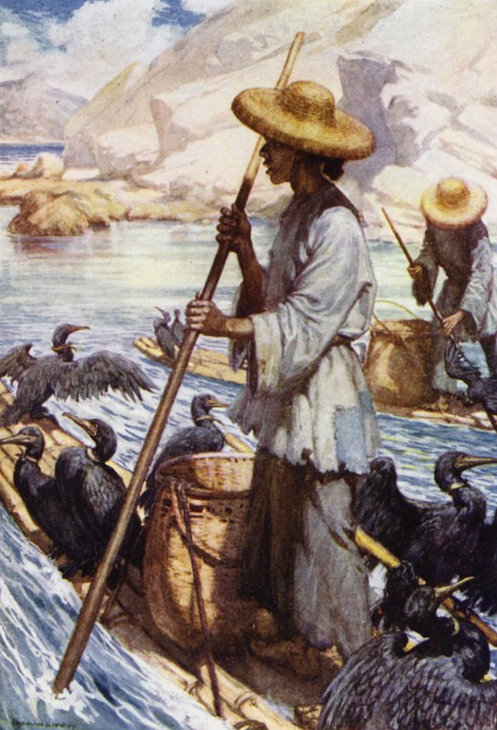 China: Pesca con cormoranes de Norman Hardy
