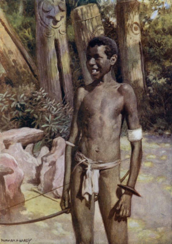 El Guía del Artista en Malekula, Nuevas Hébridas de Norman Hardy
