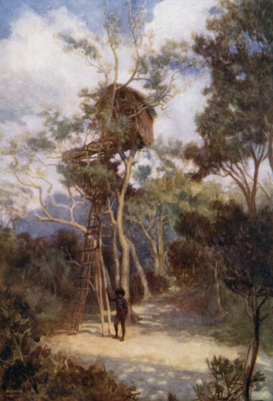Casa del Árbol en la Nueva Guinea Británica de Norman Hardy