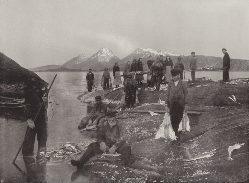 Lavando pescado klip de Norwegian Photographer