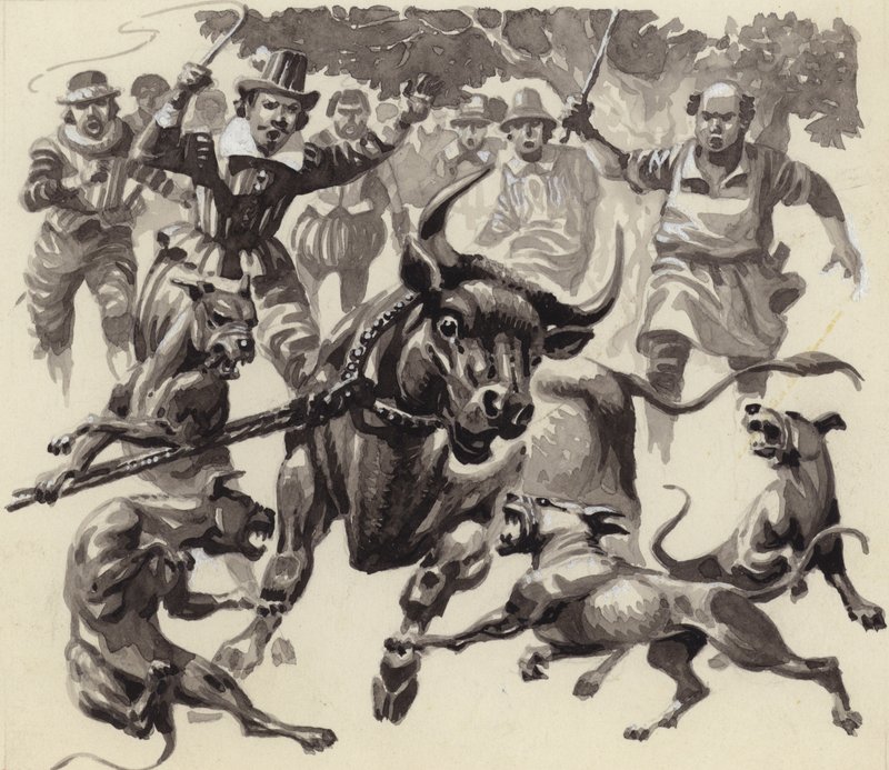 Bull baiting (gouache sobre papel) de Pat (1907 95) Nicolle